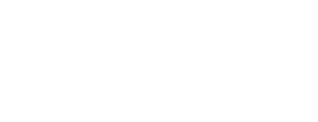 STS Blueprint Logo